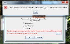 Installing Error in Jenny Mod